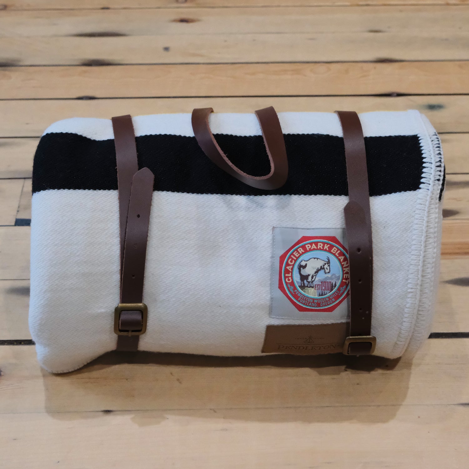 Pendleton National Park Glacier Throw with carrier wool blanket
