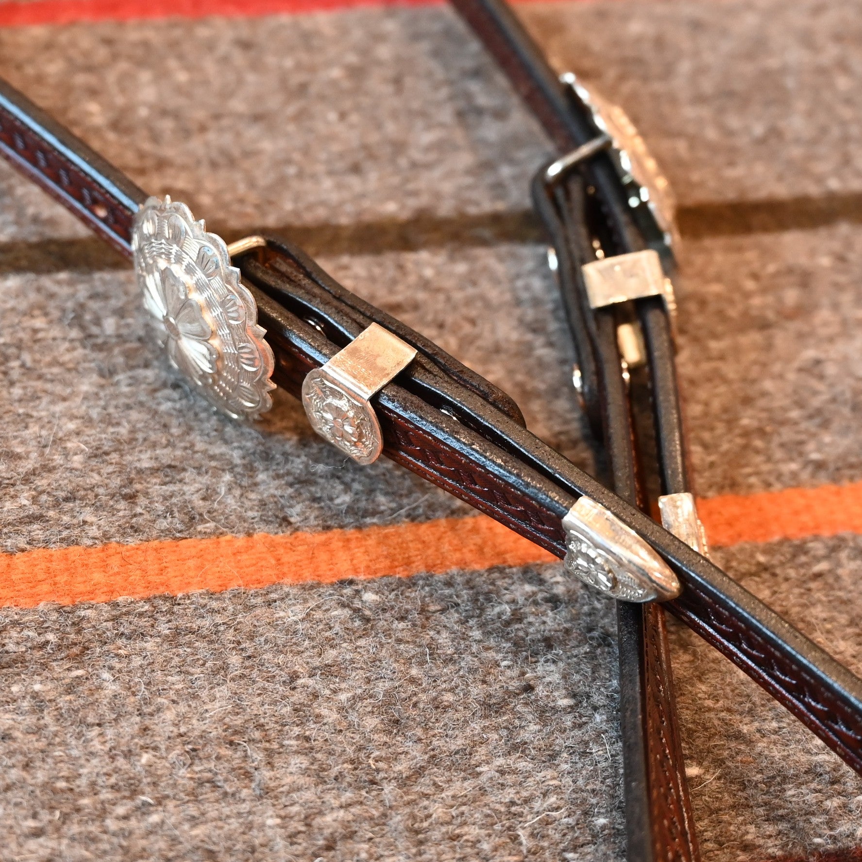 View of headstall