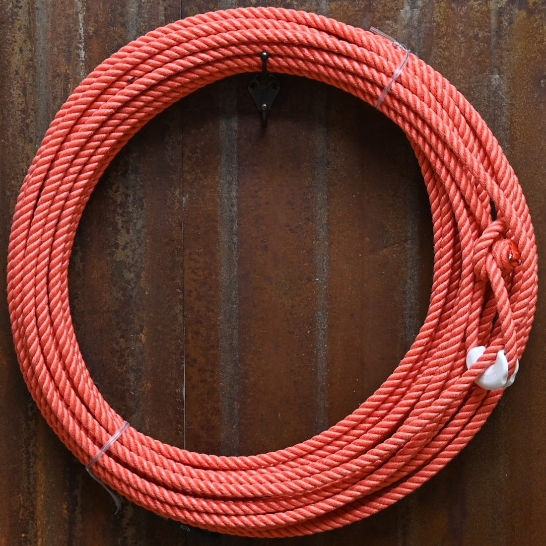 3:10 Poly Ranch Rope: The Desert Rose