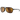 View of sunglasses